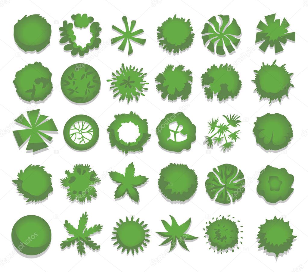 Set of different green trees, shrubs, hedges. Top view for landscape design projects. Vector illustration, isolated on white.
