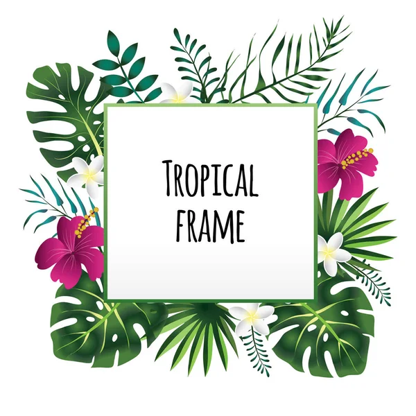 Marco tropical, plantilla con lugar para texto. Ilustración vectorial, aislada en blanco . — Vector de stock