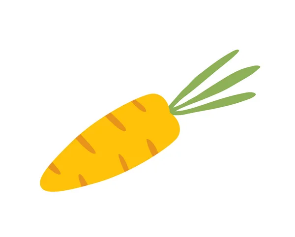 Carrot. Vector Icon Illustration, isolated on white Background. — Stock Vector