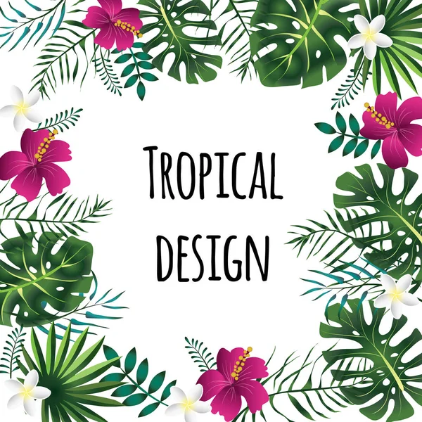 Marco tropical cuadrado, plantilla con lugar para texto. Ilustración vectorial, aislada . — Vector de stock