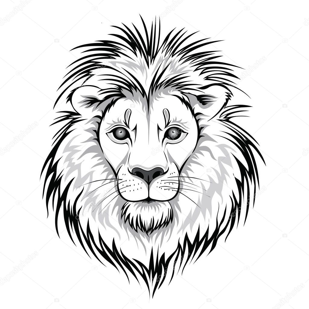 Lion head logo. Vector illustration, isolated on white background.