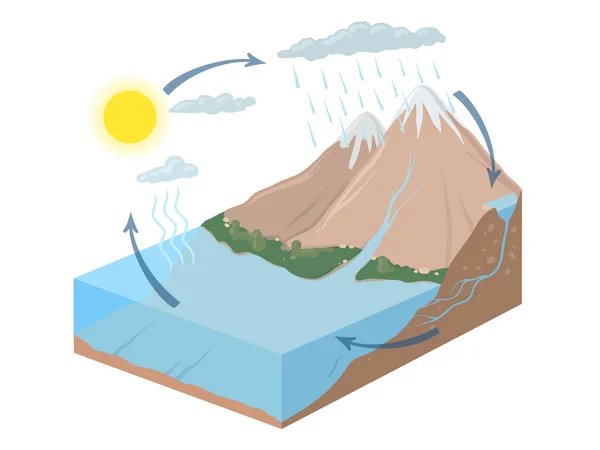 Representación esquemática vectorial del ciclo del agua en la naturaleza. Infografías isométricas Ilustración . — Archivo Imágenes Vectoriales