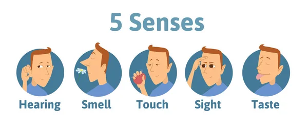 Set di cinque icone dei sensi umani: udito, olfatto, tatto, visione, gusto. Icone con buffo personaggio maschile in cerchio. Illustrazione vettoriale per bambini, isolata su bianco . — Vettoriale Stock