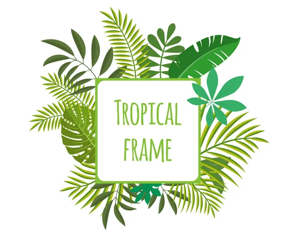Vierkant tropische frame, sjabloon met plaats voor tekst. Vectorillustratie, geïsoleerd op wit. — Stockvector