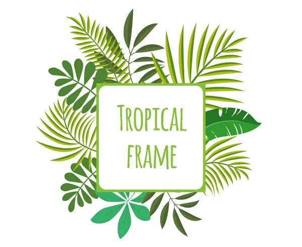 Marco tropical cuadrado, plantilla con lugar para texto. Ilustración vectorial, aislada en blanco . — Vector de stock