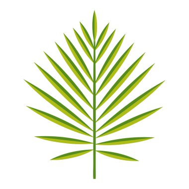 Yeşil bitki yaprağı. Beyaz izole vektör çizim.