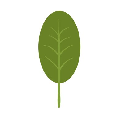 Yeşil bitki yaprağı. Beyaz izole vektör çizim.