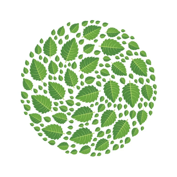 stock vector Green leaves of tree arranged in the shape of a circle. Design element, vector illustration, isolated on white.