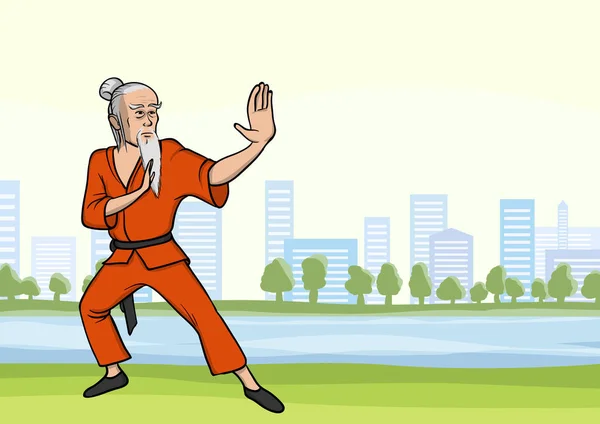 Velho praticando kung fu ou wushu no parque da cidade. Mestre de artes marciais com barba. Ilustração vetorial . — Vetor de Stock