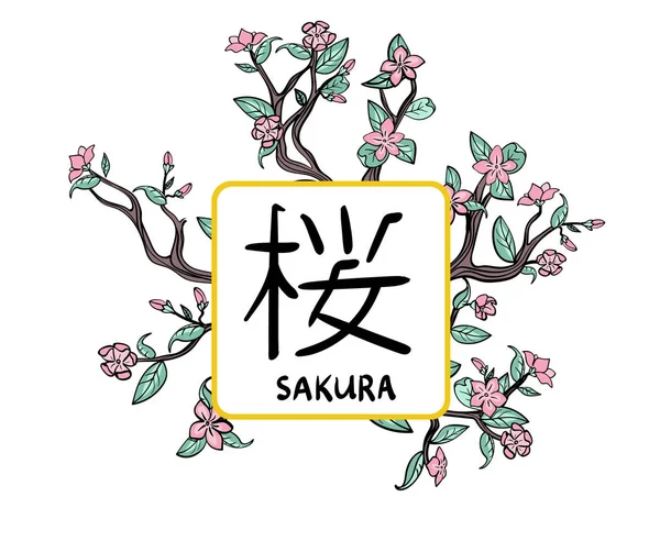 Sakura-Rahmen, Vektorillutation, isoliert auf weiß. — Stockvektor