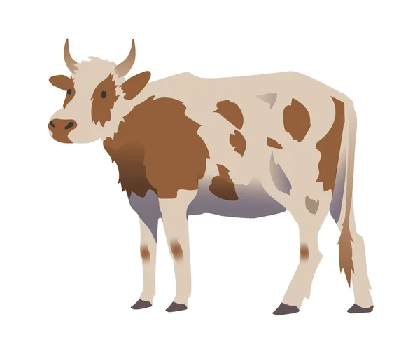 Ilustração de vaca vetora, isolada sobre branco . — Vetor de Stock