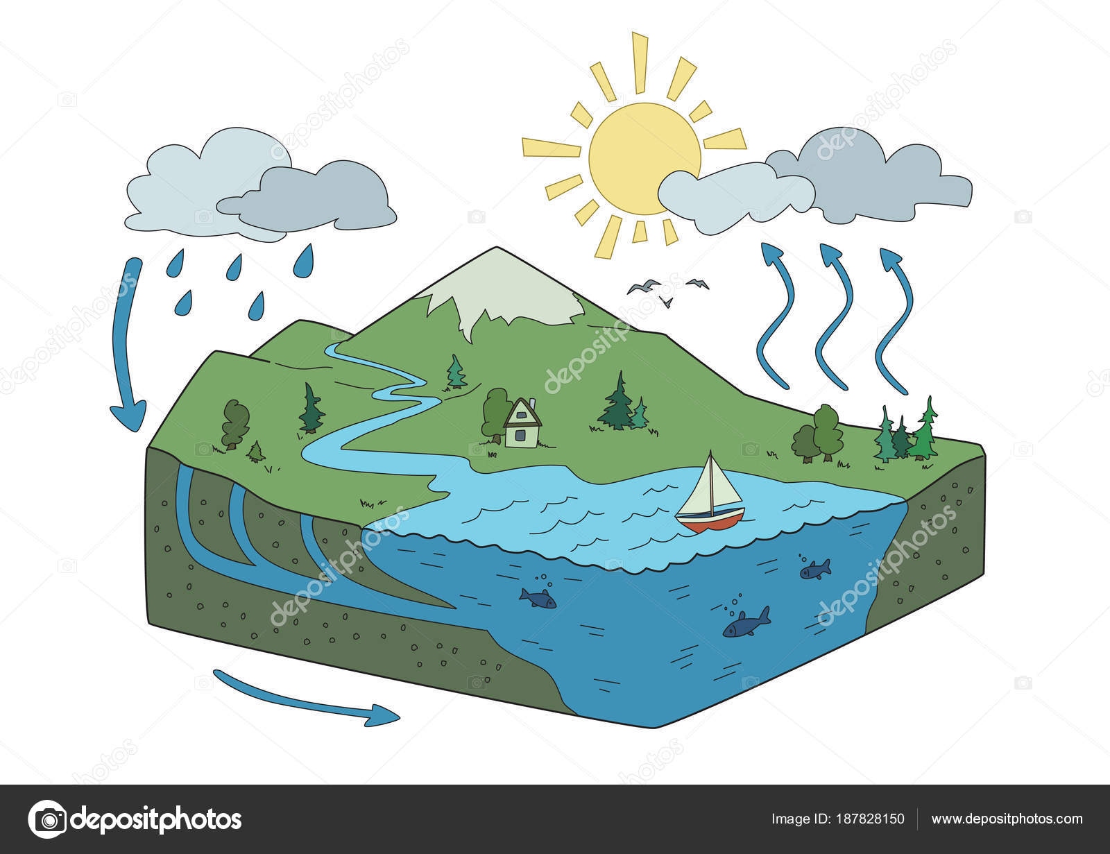 The Global Water Cycle