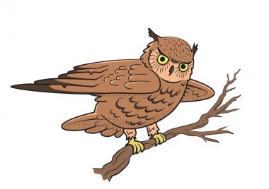Bir ağaç dalı üzerinde oturan baykuş. Bilgelik sembolü. Beyaz arka plan üzerinde izole vektör çizim.