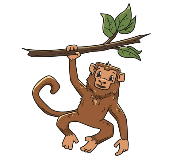 Macaco pendurado num galho de árvore. Caráter animal, ilustração vetorial, isolado sobre branco . — Vetor de Stock