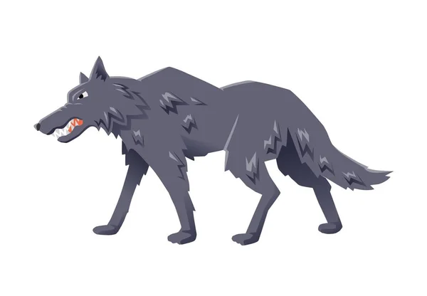 Lobo enojado caminando. Ilustración plana vectorial, aislada sobre fondo blanco . — Vector de stock