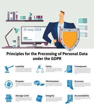 GDPR concept illustration. Principles for the Processing of Personal Data under the GDPR. General Data Protection Regulation. The protection of personal data, infographics. clipart