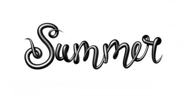 Kara felcin üç boyutlu animasyonu Summer 'ı oluşturur sonra beyaz arka planda kaybolur. Alfa kanallı bilgisayar animasyonu. Döngü.