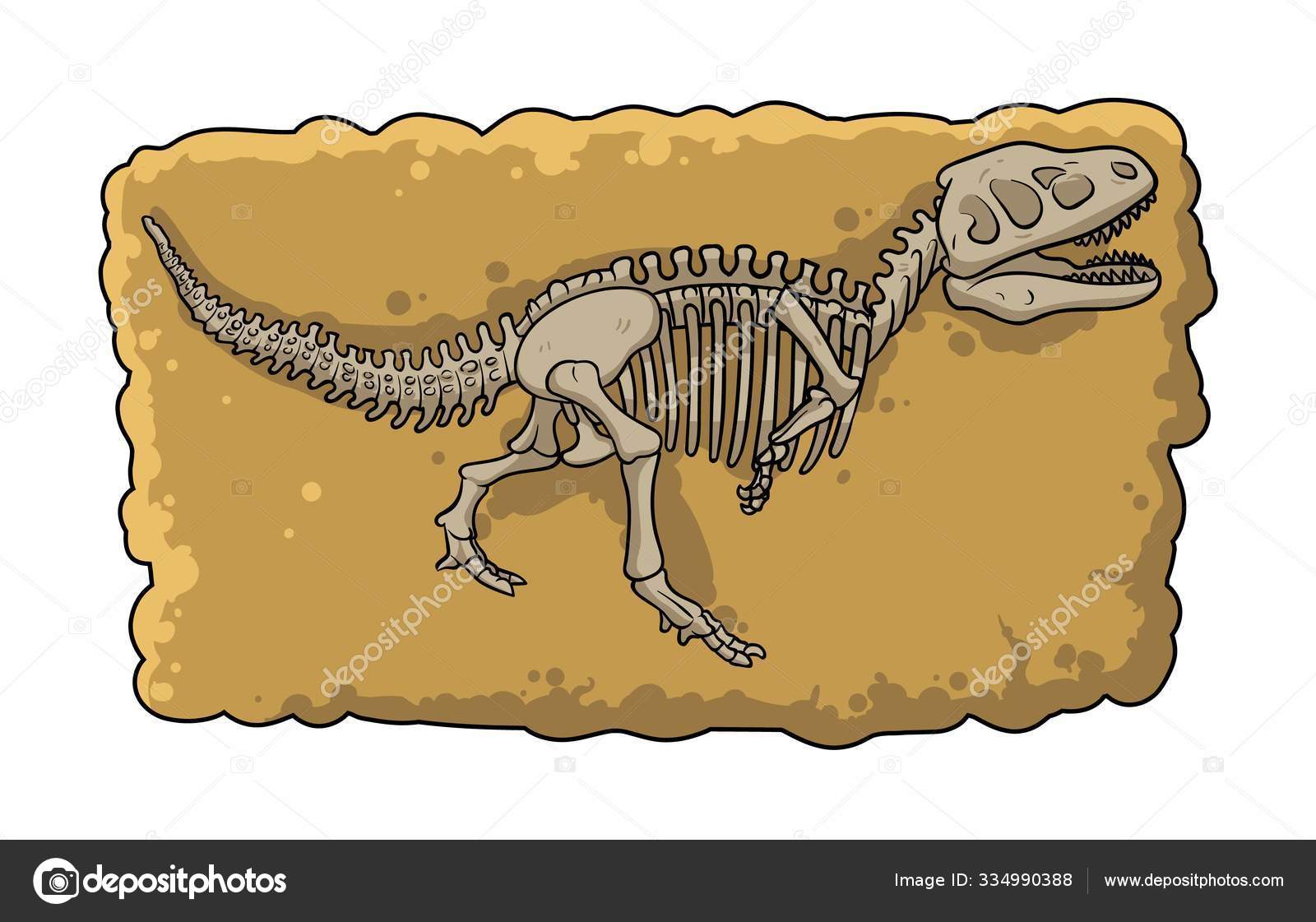 Dinosaur fossil skeleton in the soil, archeological excavation element  cartoon style. Flat vector illustration isolated on white background. Stock  Vector Image by © #334990388