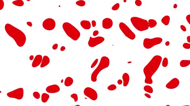 Animation abstraite de formes rouges se métamorphosant sur fond blanc. Boucle sans couture fond animé, fond d'écran .