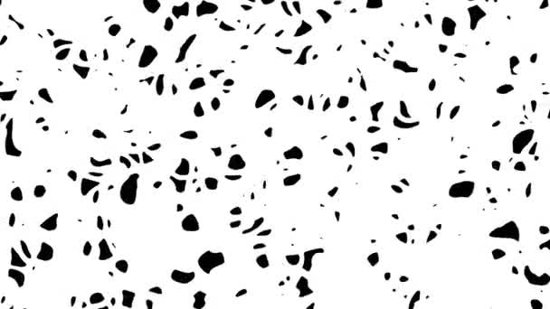 Animación abstracta de fondo de patrón digital en blanco y negro. Fondo animado lazo sin costuras, fondo de pantalla . — Vídeos de Stock