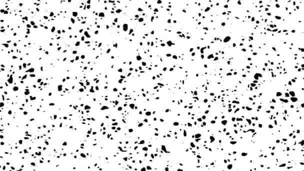 Абстрактная фоновая анимация цифрового черно-белого рисунка. Бесшовный цикл анимированный фон, обои. — стоковое видео