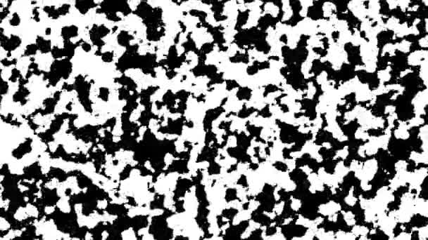 디지털 블랙 앤 화이트 패턴의 추상적 인 배경 애니메이션. 바다없는 고리 애니메이션 배경, 벽지. — 비디오