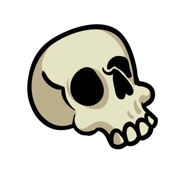 Cartoon human skull. Flat vector illustration isolated on white background. — Stock vektor