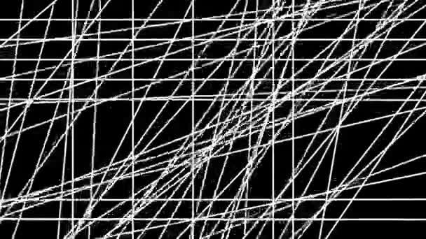 Linee bianche in movimento casuale su sfondo nero, sfondo animato minimale. Motion design sfondo . — Video Stock