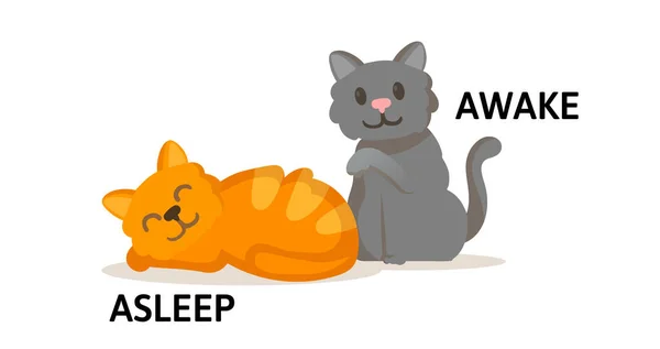 Words asleep and awake flashcard with cartoon animal characters. Opposite adjectives explanation card. Flat vector illustration, isolated on white background. — Stock Vector