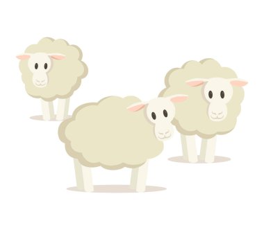 Üç koyun sürüsü. Düz vektör çizimi, beyaz arkaplanda izole.
