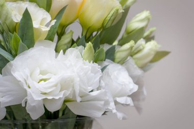 Hem güller çok güzel beyaz Lisianthus çiçekler görünüyor