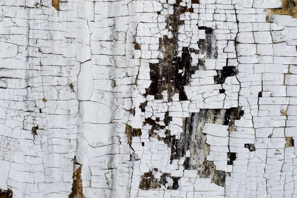 Konsistens av en shabby gammal vit färg på en trädörr — Stockfoto