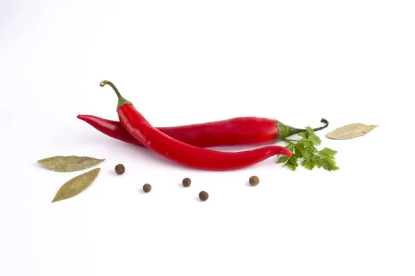 Fresh Vegetables White Background — Stock Photo, Image