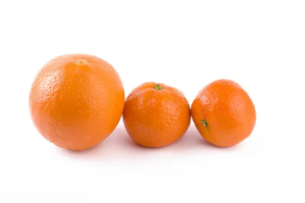 Frische Mandarinen Isoliert Auf Weißem Hintergrund Orangen Sind Reihen Angeordnet — Stockfoto