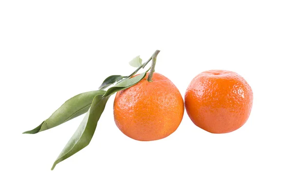 Frische Mandarinen Isoliert Auf Weißem Hintergrund Orangen Sind Reihen Angeordnet — Stockfoto