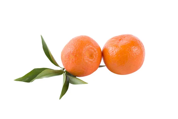 Mandarinas Frescas Isoladas Sobre Fundo Branco Laranjas São Dispostas Fileiras — Fotografia de Stock