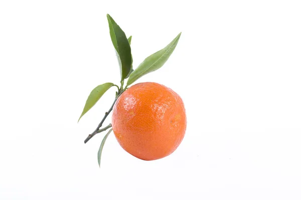 Φρέσκα Μανταρίνια Που Απομονώνονται Λευκό Φόντο Πορτοκάλια Είναι Διατεταγμένα Σειρές — Φωτογραφία Αρχείου