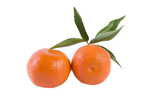 新鮮なマンダリンは 白い背景で隔離 オレンジは 行に配置されます 白い背景の上に配置 — ストック写真