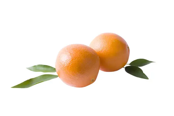 Frische Mandarinen Isoliert Auf Weißem Hintergrund Orangen Sind Reihen Angeordnet — Stockfoto