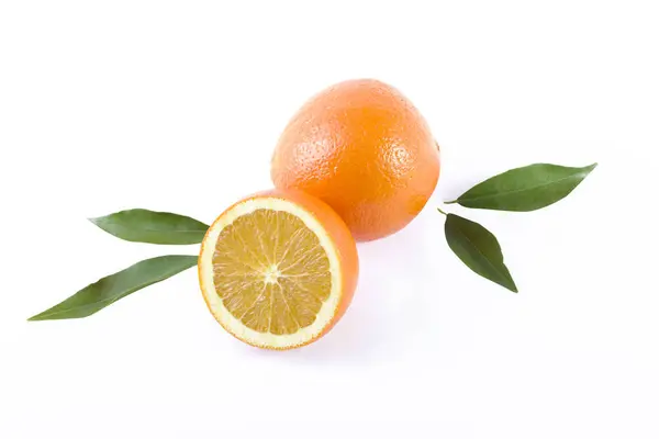 Апельсини Білому Тлі Свіжі Цитрусові Білому Тлі — стокове фото