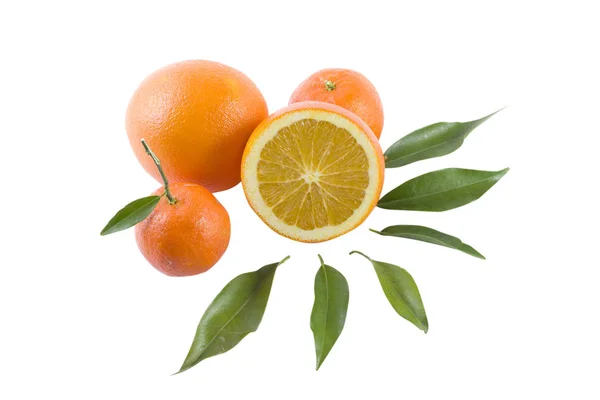Orange Und Mandarinen Auf Weißem Hintergrund Frische Zitrusfrüchte Auf Weißem — Stockfoto