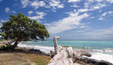 Cumhuriyeti, Trinidad ve Tobago - Tobago Adası - Roxborough beach