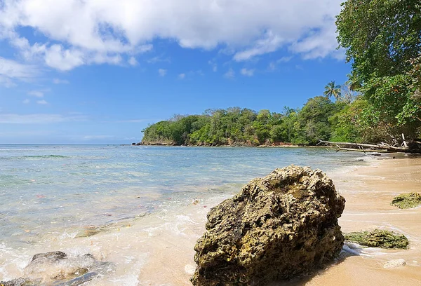 República de Trinidad e Tobago - Ilha Tobago - Mt. Baía de Irvine — Fotografia de Stock