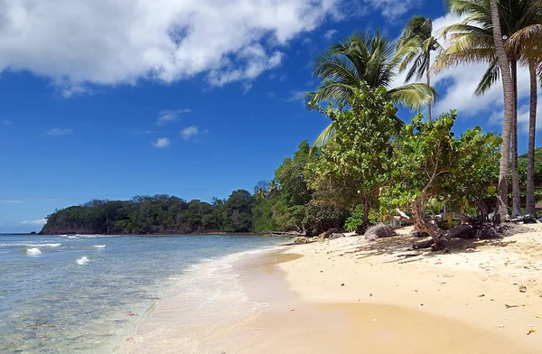 Trinidad és Tobago Köztársaság - Tobago sziget - Mt. Irvine bay — Stock Fotó