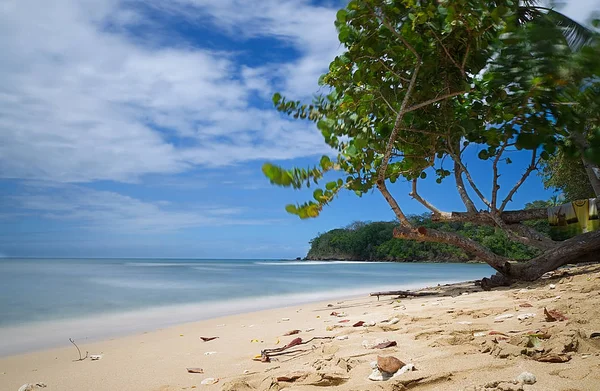 República de Trinidad e Tobago - Ilha Tobago - Mt. Baía de Irvine — Fotografia de Stock