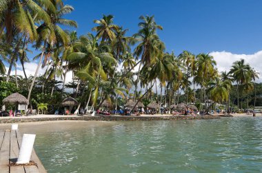Marigot defne - Saint Lucia tropik ada