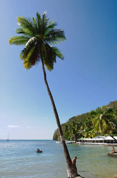 Baía de Marigot - Ilha tropical de Santa Lúcia — Fotografia de Stock