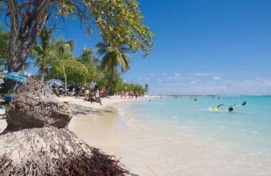 Tropikal plaj Sainte Anne - Guadeloupe tropik ada 