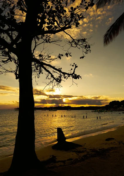 Günbatımı, tropikal plaj, Sainte Anne - Guadeloupe tropik ada