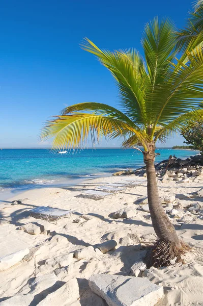 Playa de la isla Catalina - Mar tropical caribenho — Fotografia de Stock